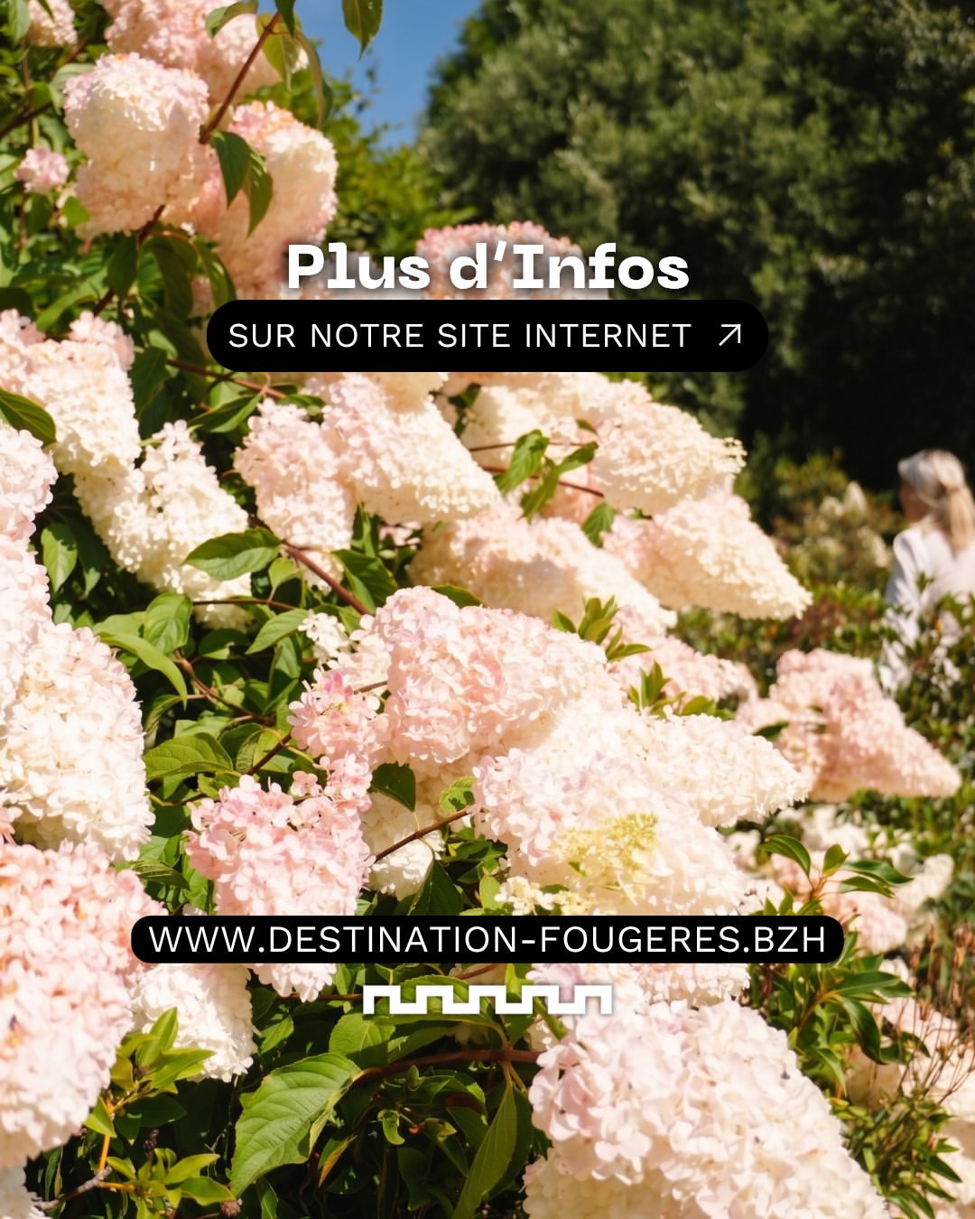 Carrousel slide 7