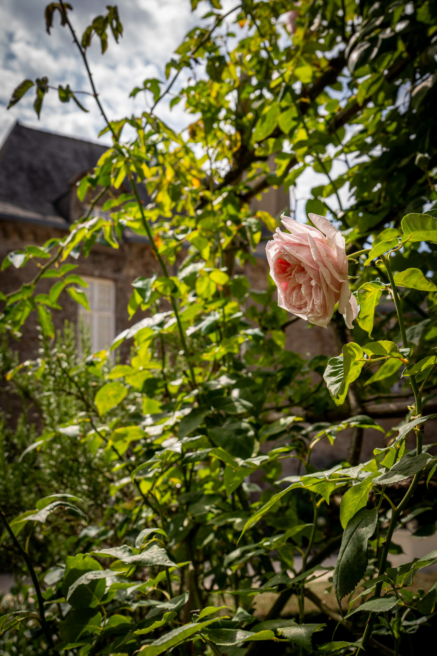 Les Jardins du Château de la Ballue — Cliché 2
