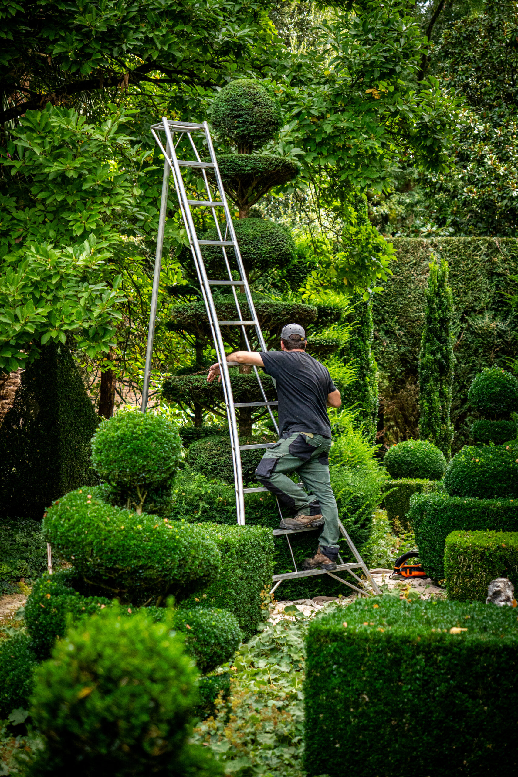 Les Jardins du Château de la Ballue — Cliché 6