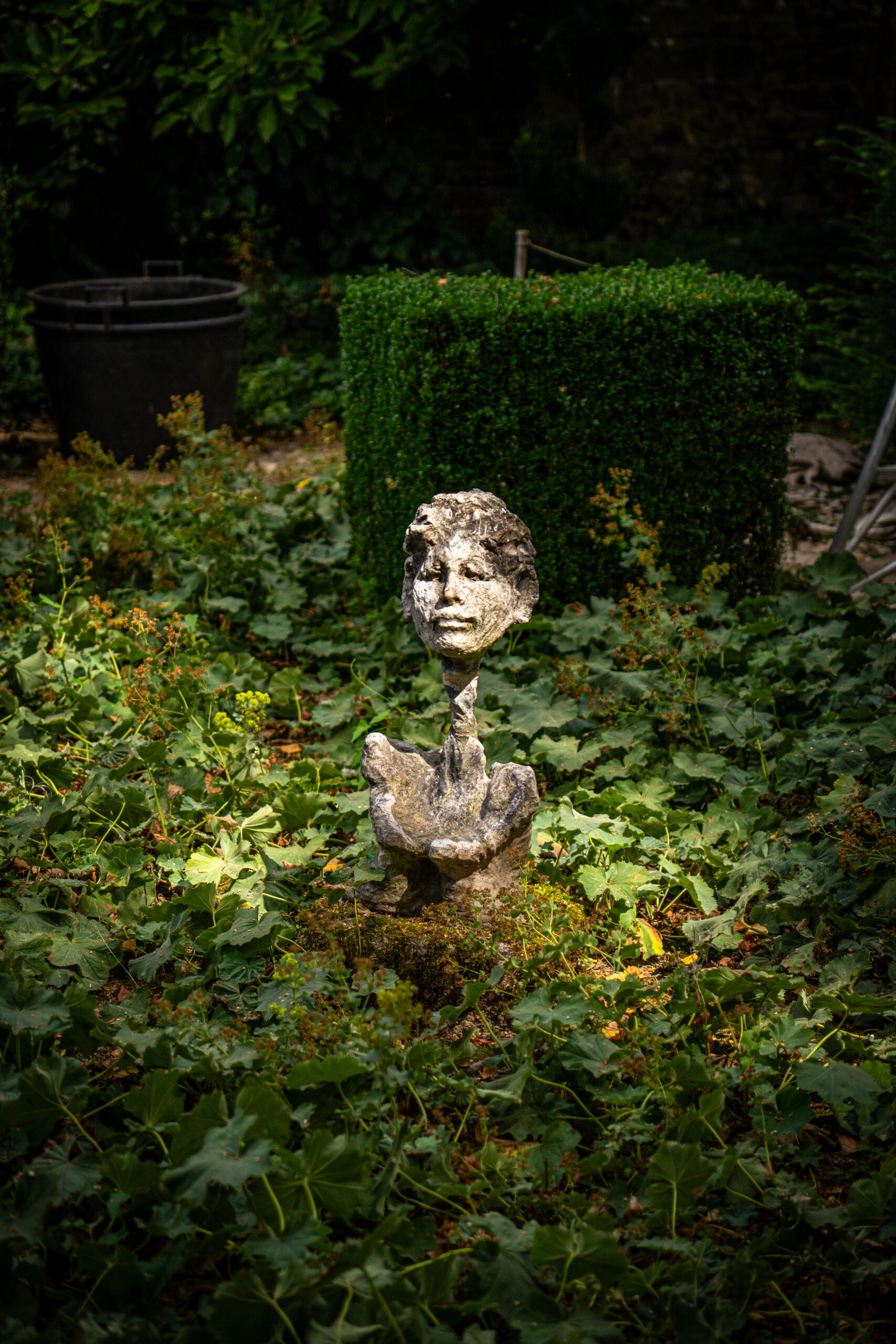 Les Jardins du Château de la Ballue — Cliché 8