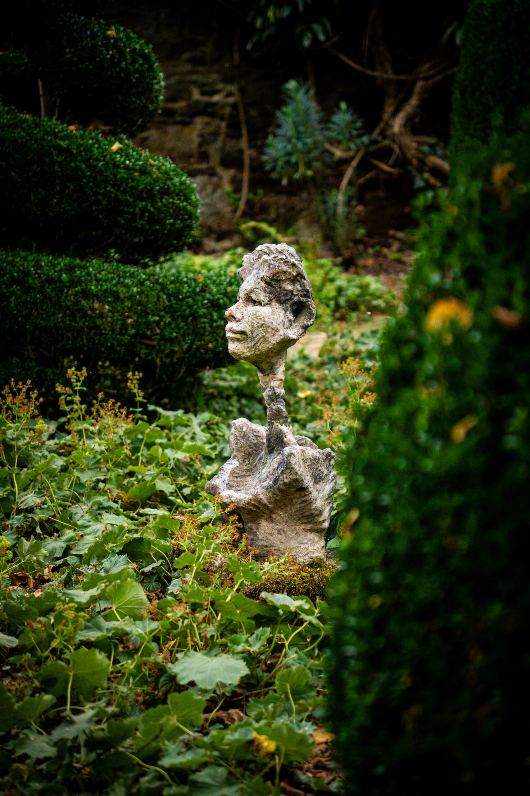 Les Jardins du Château de la Ballue — Cliché 9