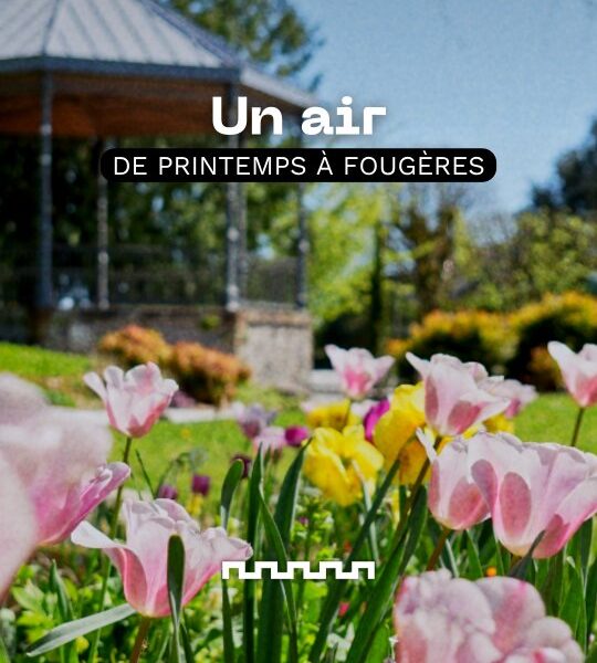 Snack Content & Formats Courts Immersifs à Fougères