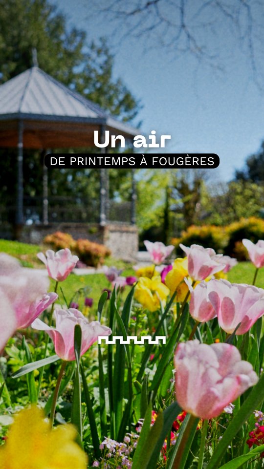 Snack Content & Formats Courts Immersifs à Fougères